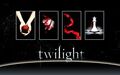 Thumbnail for version as of 04:07, December 12, 2012