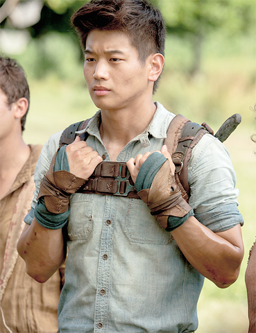 Plik:-Minho-the-maze-runner-37615301-500-650.png