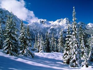 Winter-wallpaper-10