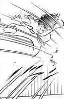 Sankaku Geri.png