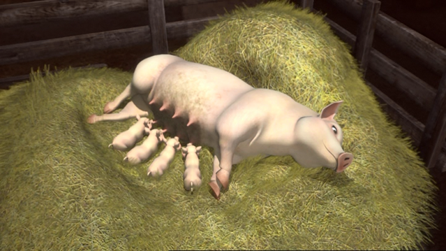 File:ThomasAndThePigs81.png