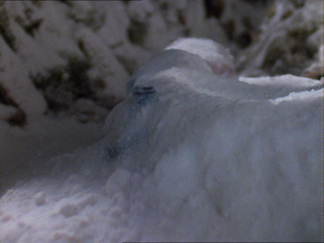 File:ThomasandtheMissingChristmasTree26.png