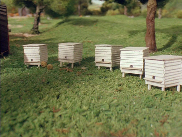 File:Buzz,Buzz7.png