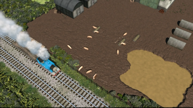 File:ThomasAndThePigs12.png