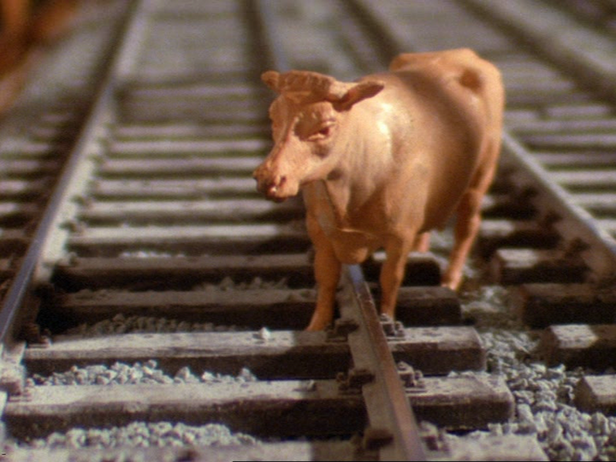 File:Cows31.png
