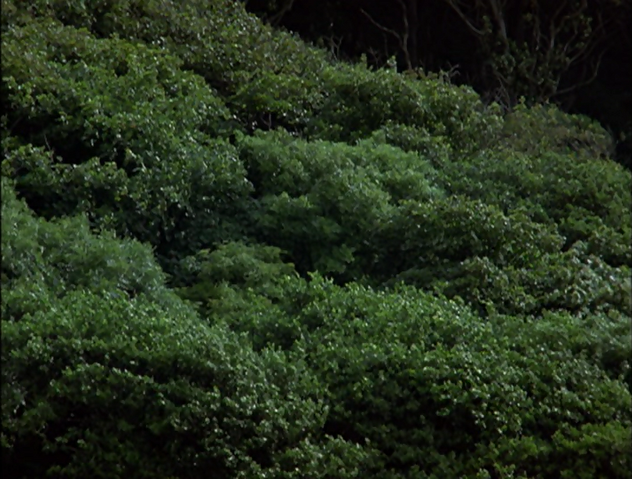 File:ThomasAndTheMagicRailroad348.png