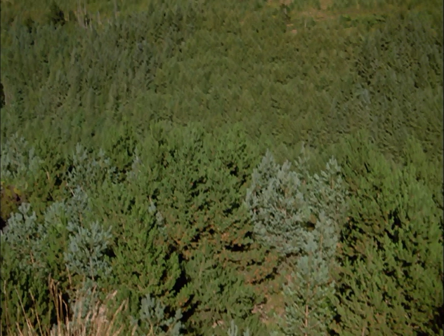 File:ThomasAndTheMagicRailroad850.png