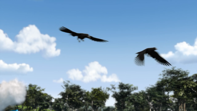File:ThomasTootstheCrows63.png