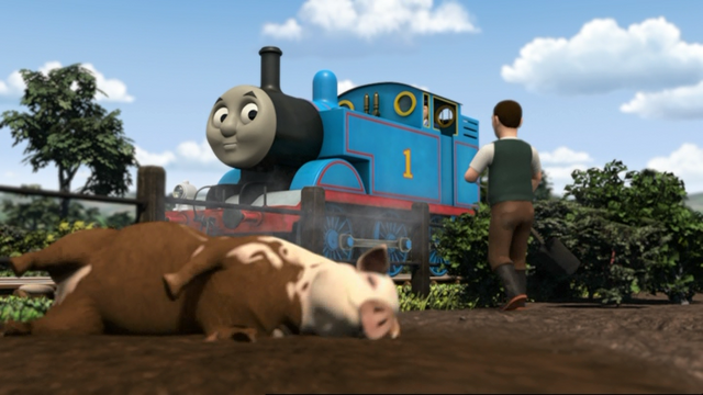 File:ThomasAndThePigs15.png