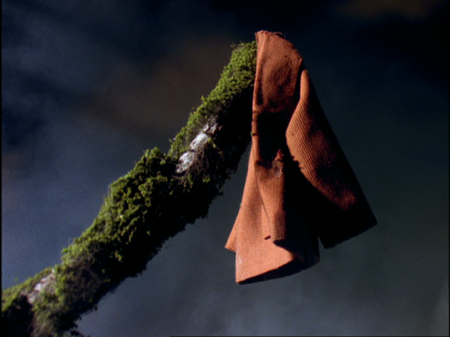 File:HauntedHenry24.png