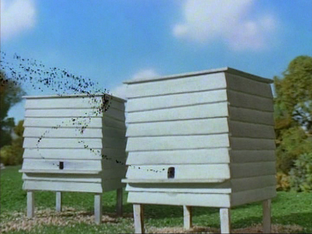 File:Buzz,Buzz67.png