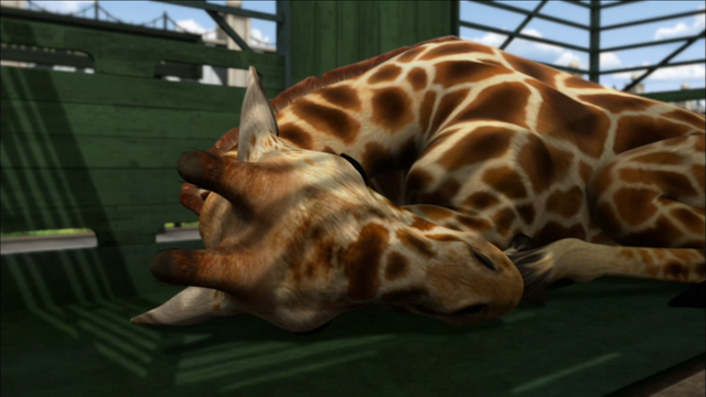 File:Thomas'TallFriend62.png