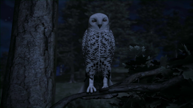 File:TheSmellyKipper9.png