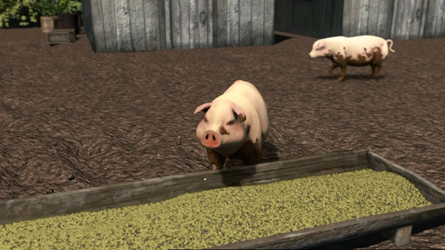 File:ThomasAndThePigs18.png