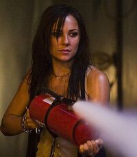 Briana Evigan 3