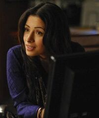 Sarah Shahi 2