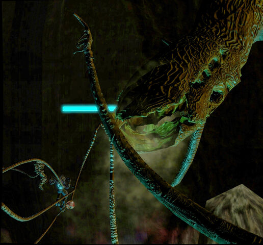 File:Gravemindcapture.jpg