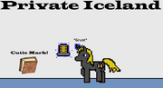 Privateiceland