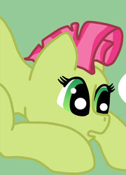 Apple Tini
