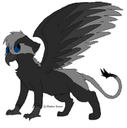 Shadow Wing