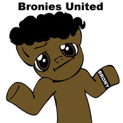 Bronies Untied