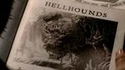 230px-Hell hound 1