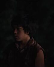 Collin-BD