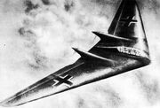 Ho 229
