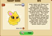 FounderBunny