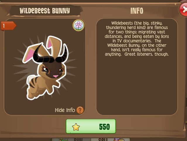 File:Wildebeest Bunny 1 (Info).jpg