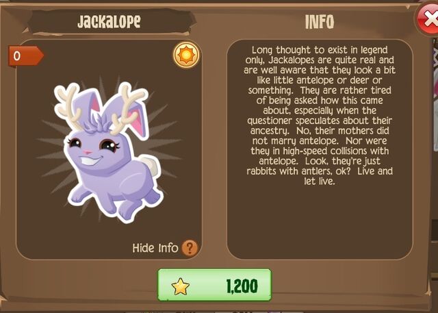 File:Jackalope Bunny 2 (Info).jpg