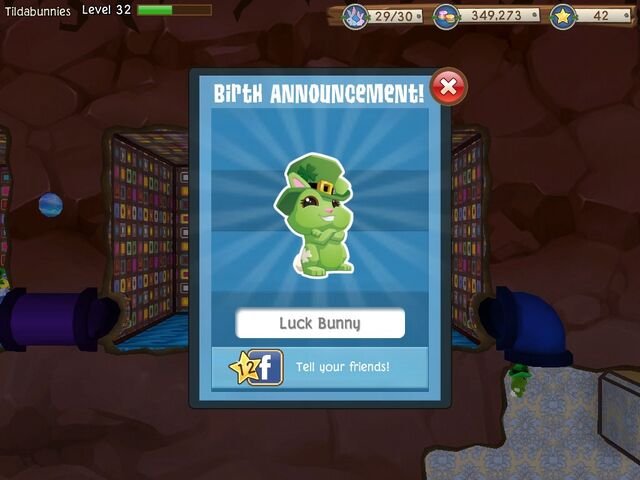 File:SUCCESS LUCK BUNNY!.jpeg