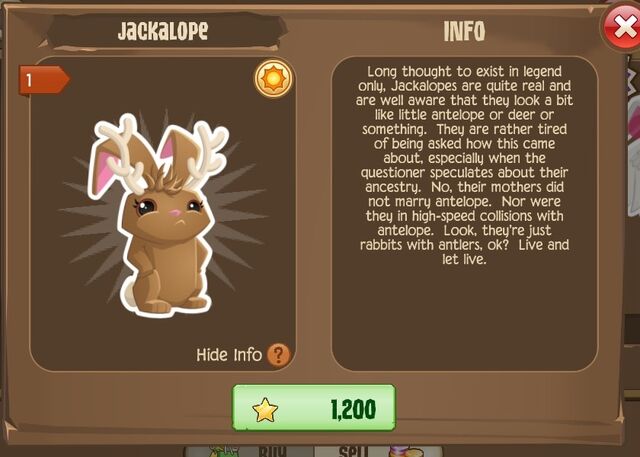 File:Jackalope Bunny 1 (Info).jpg