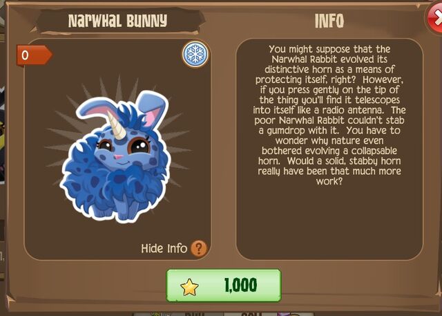 File:Narwhal Bunny 2 (Info).jpg
