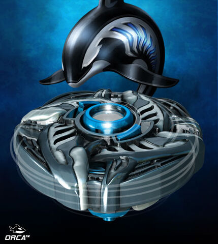 File:Orca.jpg