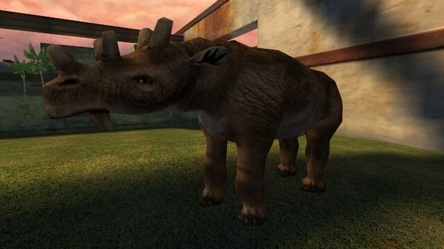 File:Animalia (13).jpg