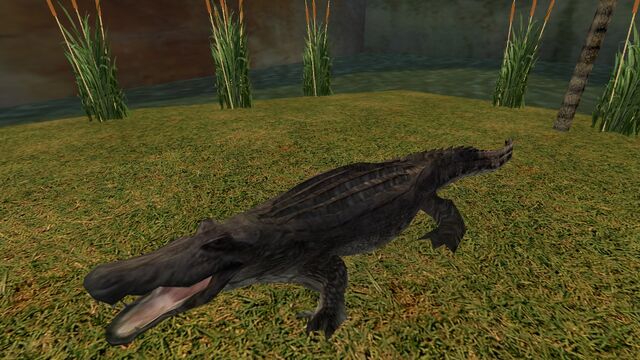 File:Zoo Animals (12).jpg
