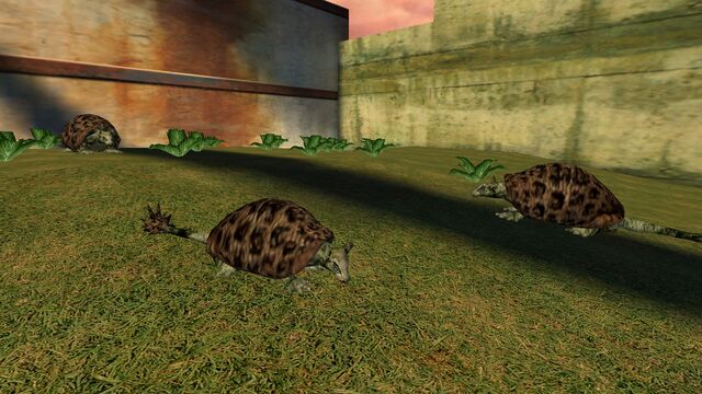 File:Animalia (25).jpg