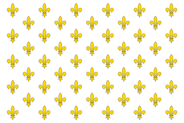 File:KingdomofFranceflag.png