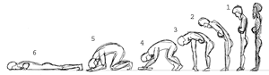 Proskynesis