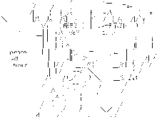 P-trans