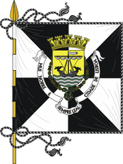 Pt-lsb1.png