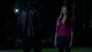 Delenaa