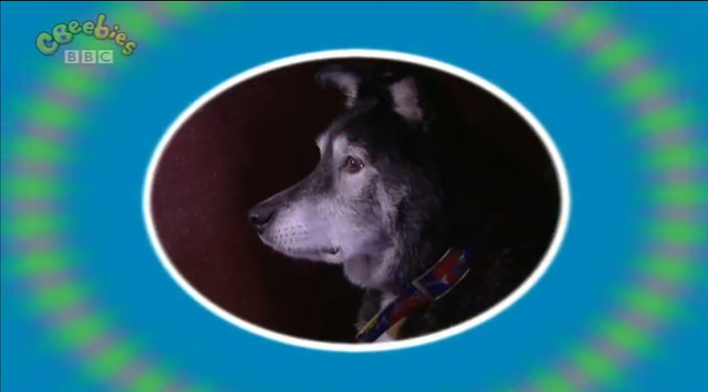 File:Dog's Home.png