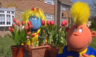 Spring
