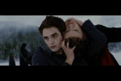 Edward kills Demetri
