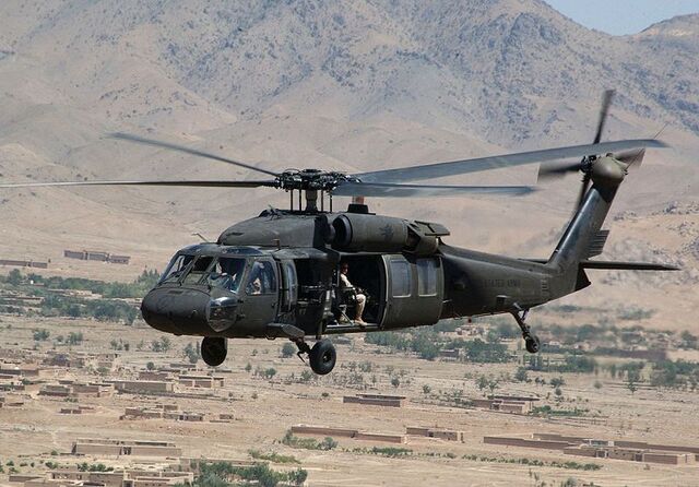File:Black hawk.jpg