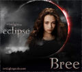 Thumbnail for version as of 11:46, April 2, 2012