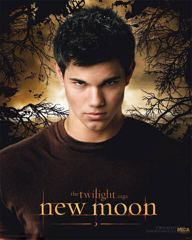 File:New moon taylor lautner poster.jpg