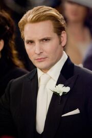 BDCarlisleWedding